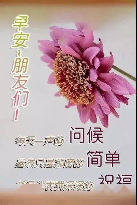 2021牛年週末早安問候語短句最美週末語錄動態圖片