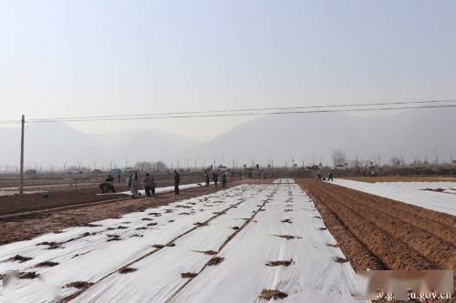 甘谷县新兴镇GDP_甘谷县新兴镇社会经济发展综述(2)