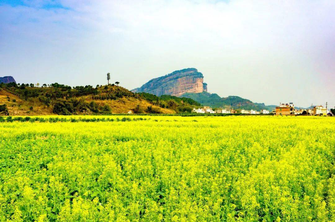 吸引游客走进遗产地乡村,丹霞山今日在阅丹公路节点车湾村服务站广场