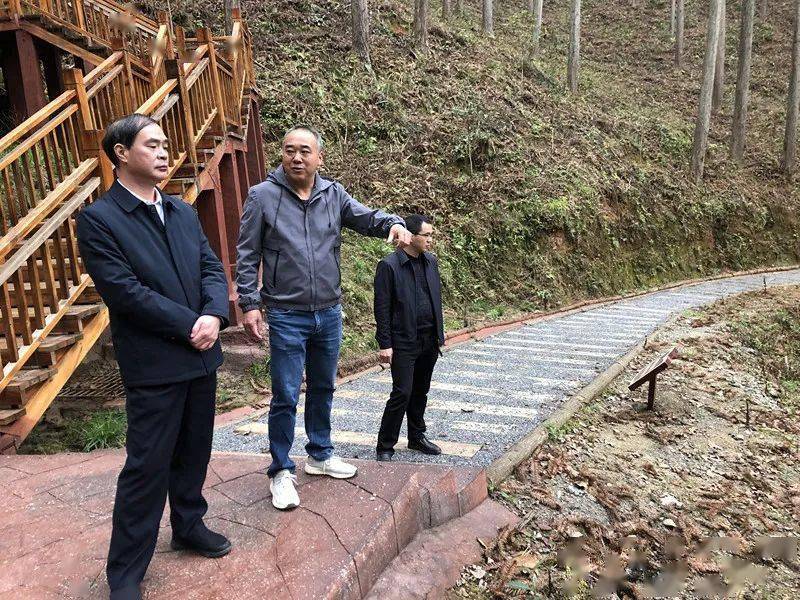 再学习,再调研,再落实 丨 泰宁县领导深入基层开展工作调研_张春华
