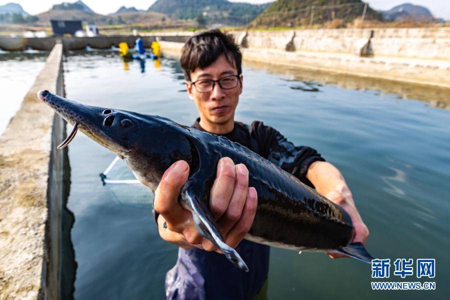 2月的GDP_2021年2月日历图片