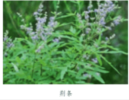 必须与必需有什么不同？熔化、溶化、融化怎么区别？ 统编语文二年级下册17个重点知识梳理+释疑，快给孩子收藏起来！_比喻