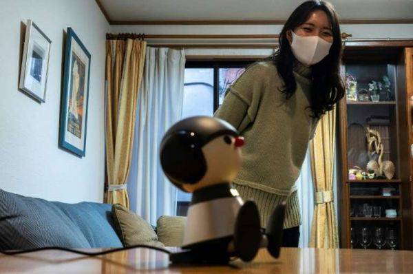 机器人|销量大增！疫情期间日本“陪伴机器人”备受追捧