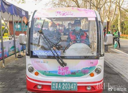武汉东湖赏樱旅游专线开通：可车、可船、可骑行！