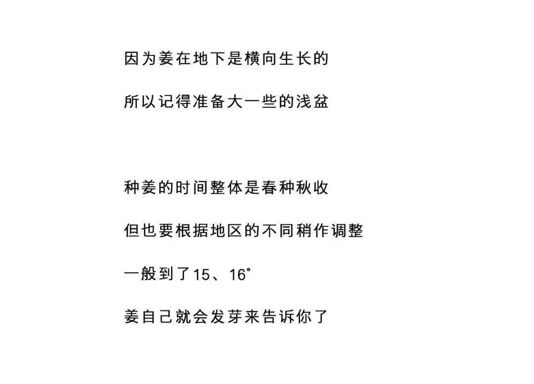 40ef357766e44de6a3e35b7b802d28d8.jpeg