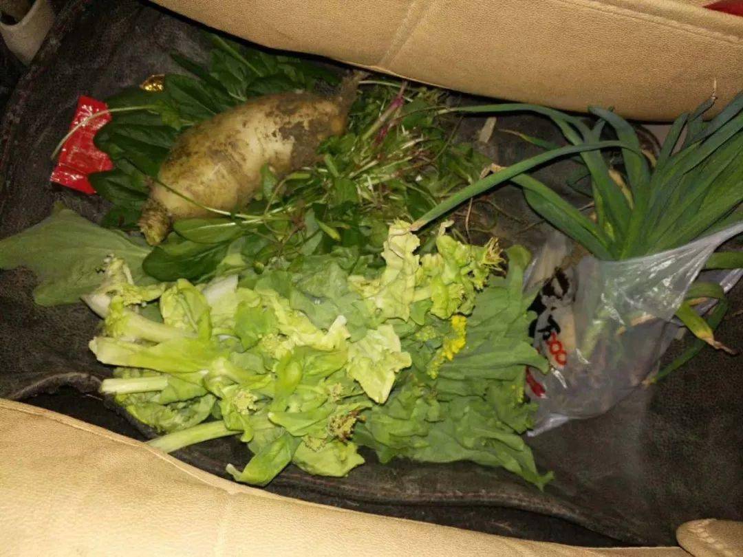 毕节男子偷菜落下钱包菜主隔空喊话笑晕网友