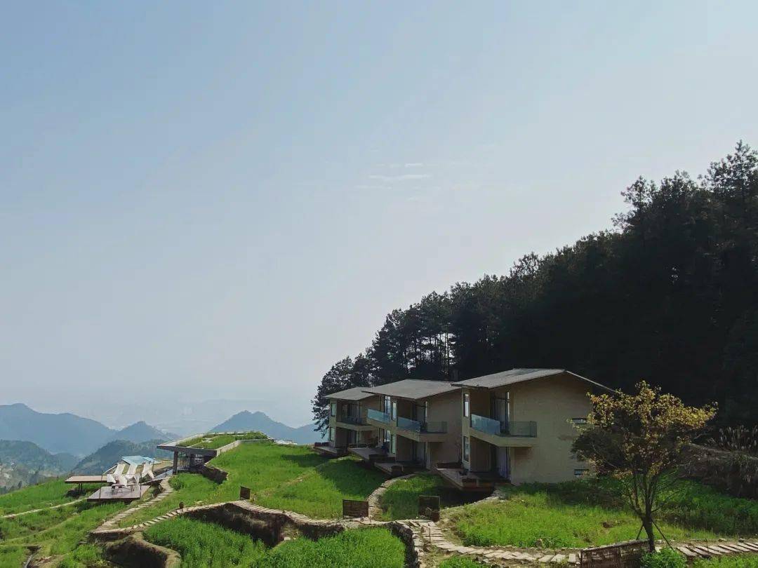up探店:藏在垫江的巴谷宿集 梯田稻香美过清迈巴厘岛