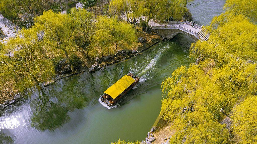 济南： 春日伊始 大明湖充满绿色生机