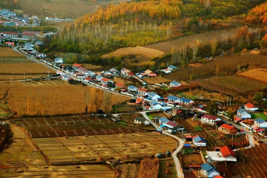 立足资源挖掘特色集安市钱湾村全力推动乡村振兴落地生根