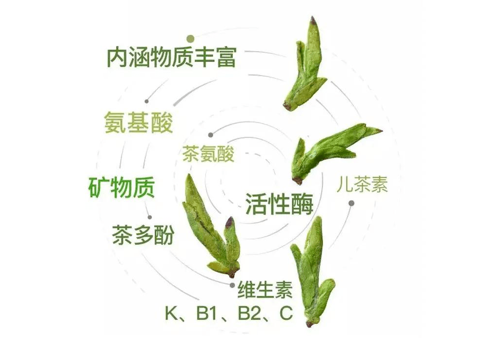品味春天从一杯绿茶开始