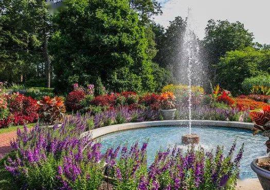 山谷里的宝藏花园 Longwood Garden 植物