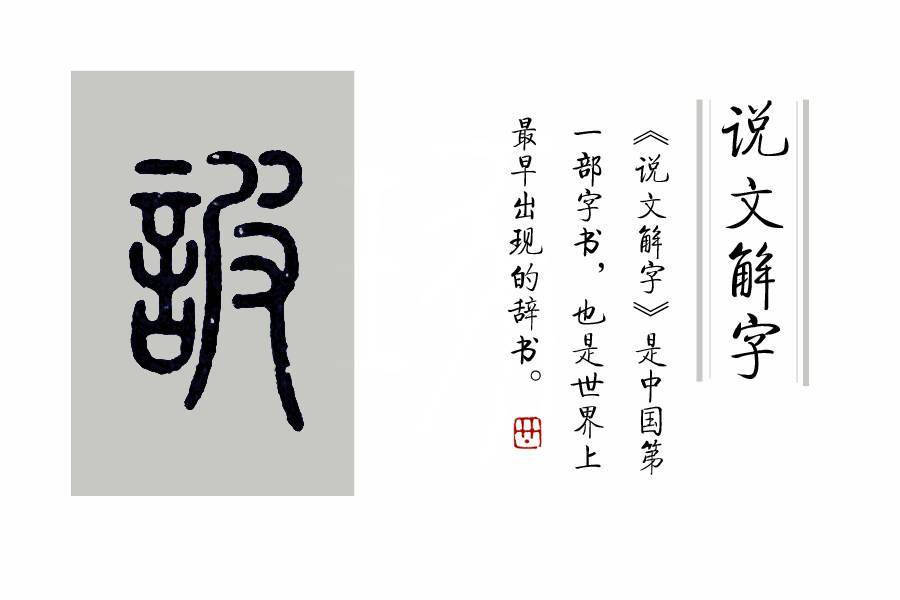 美人画卷古筝d调曲谱