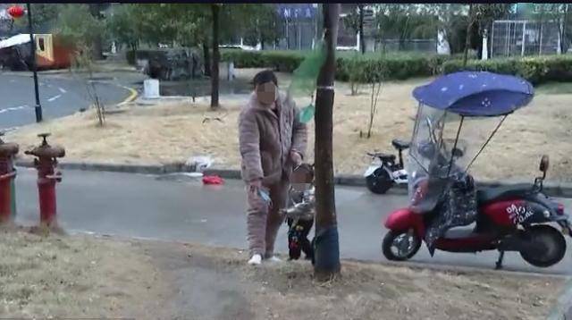 菜板排行_一块菜板从天而降,树枝都砸断了,更可怕的是底下还有人