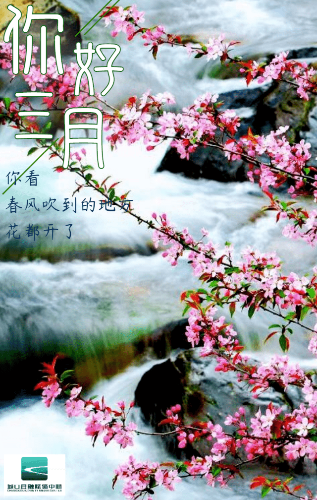 8cc14d95ad6a48bca27116cfc5d3a257.png