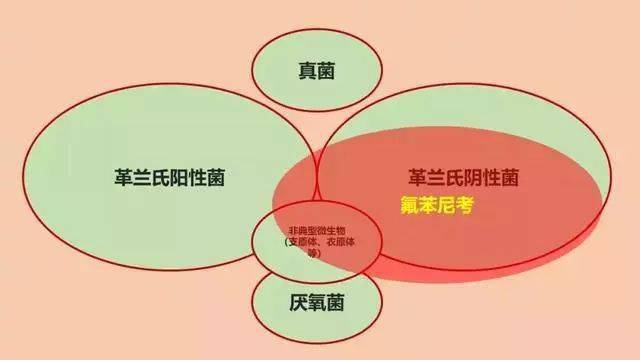 阴性菌 来自搜狐网