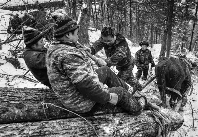 林区往事倒套子