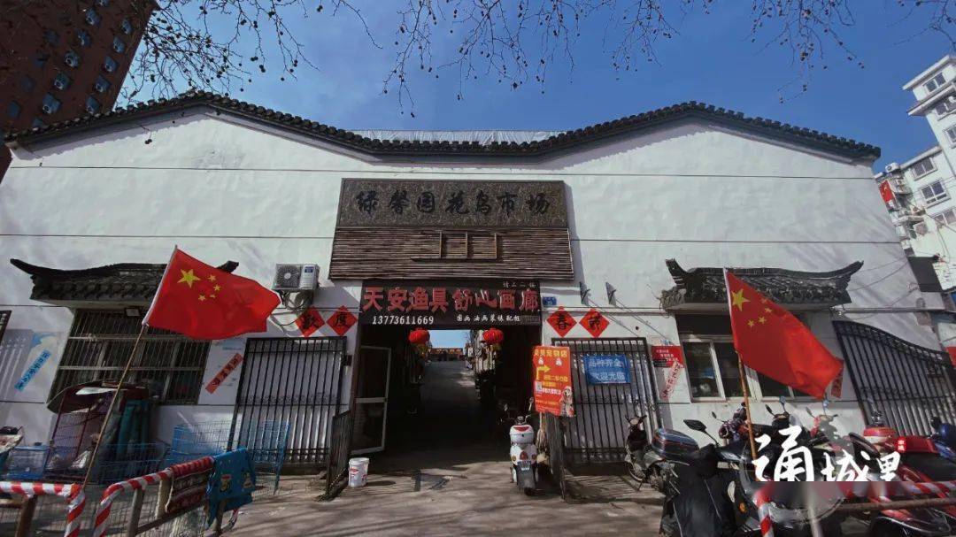 南通人的浪漫和烟火气,都在这个园子里!_花鸟