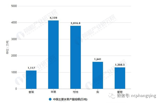 人均水果消费_中国人均水果消费支出