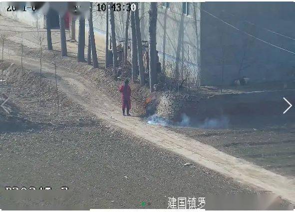 青罕村人口