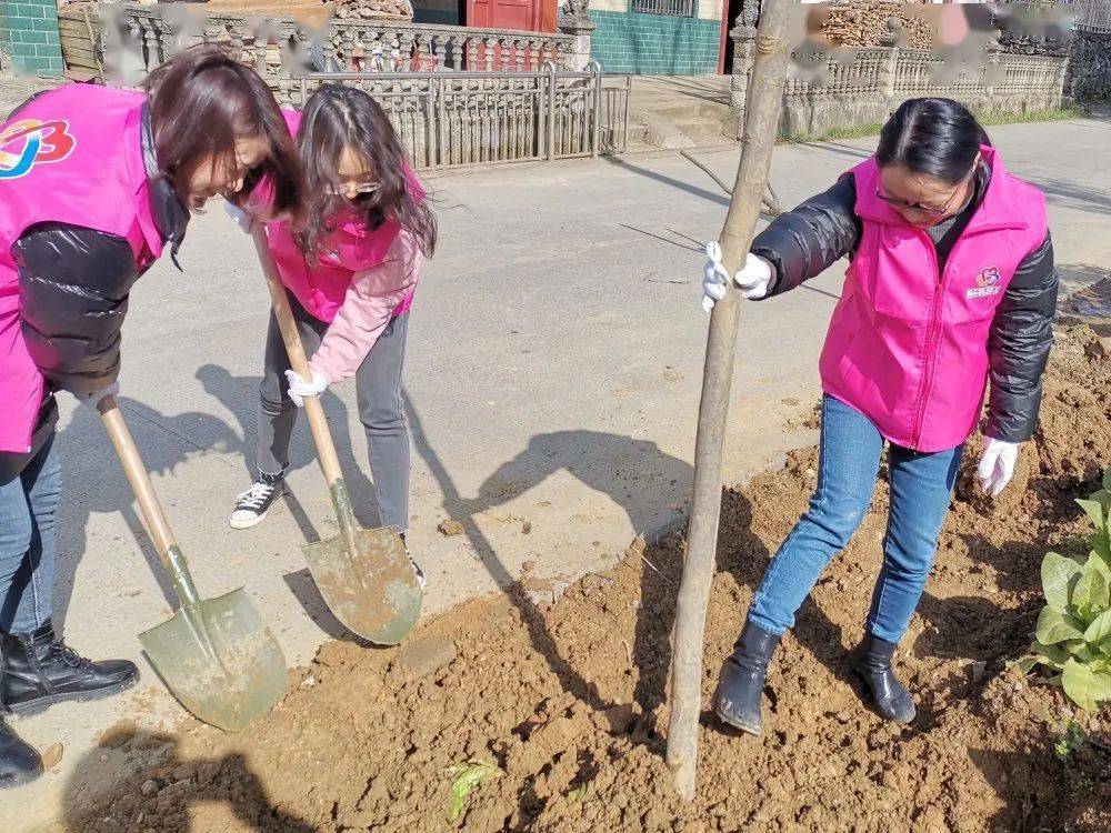 什么季节种树好活 d579dbb6c66b475395f1319deb44da52.jpeg