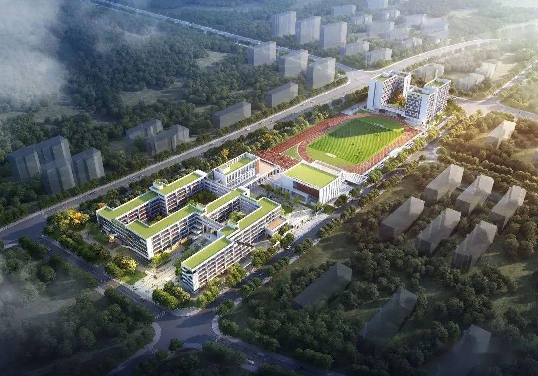 龙泉驿区同安街道经济总量_龙泉驿区同安中学(3)
