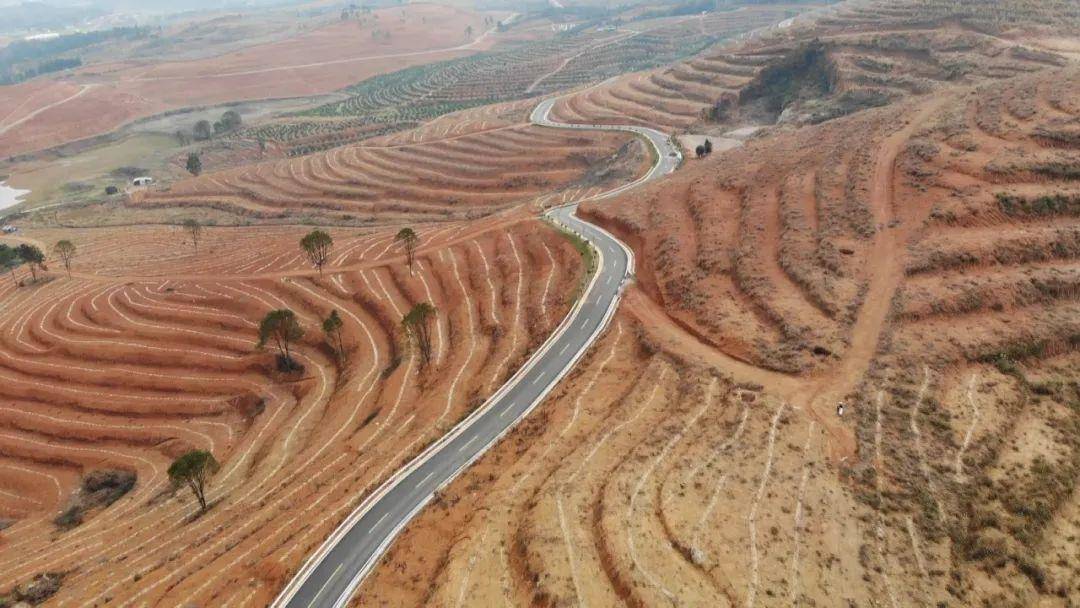 祁阳县观音滩镇立足实际,瞄准农村荒山荒地,借力县开展乡村振兴"1 20"