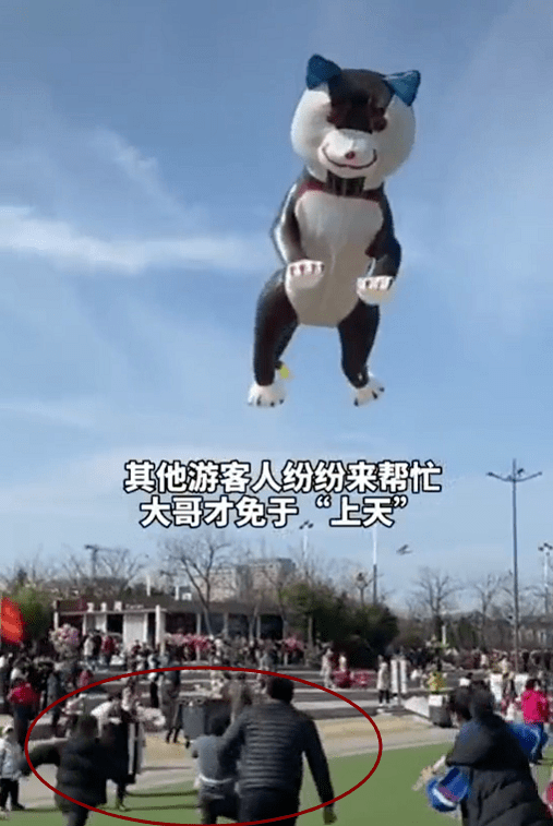 心疼又好笑!男子放风筝,差点被"二哈"拽上天,接下来这一幕