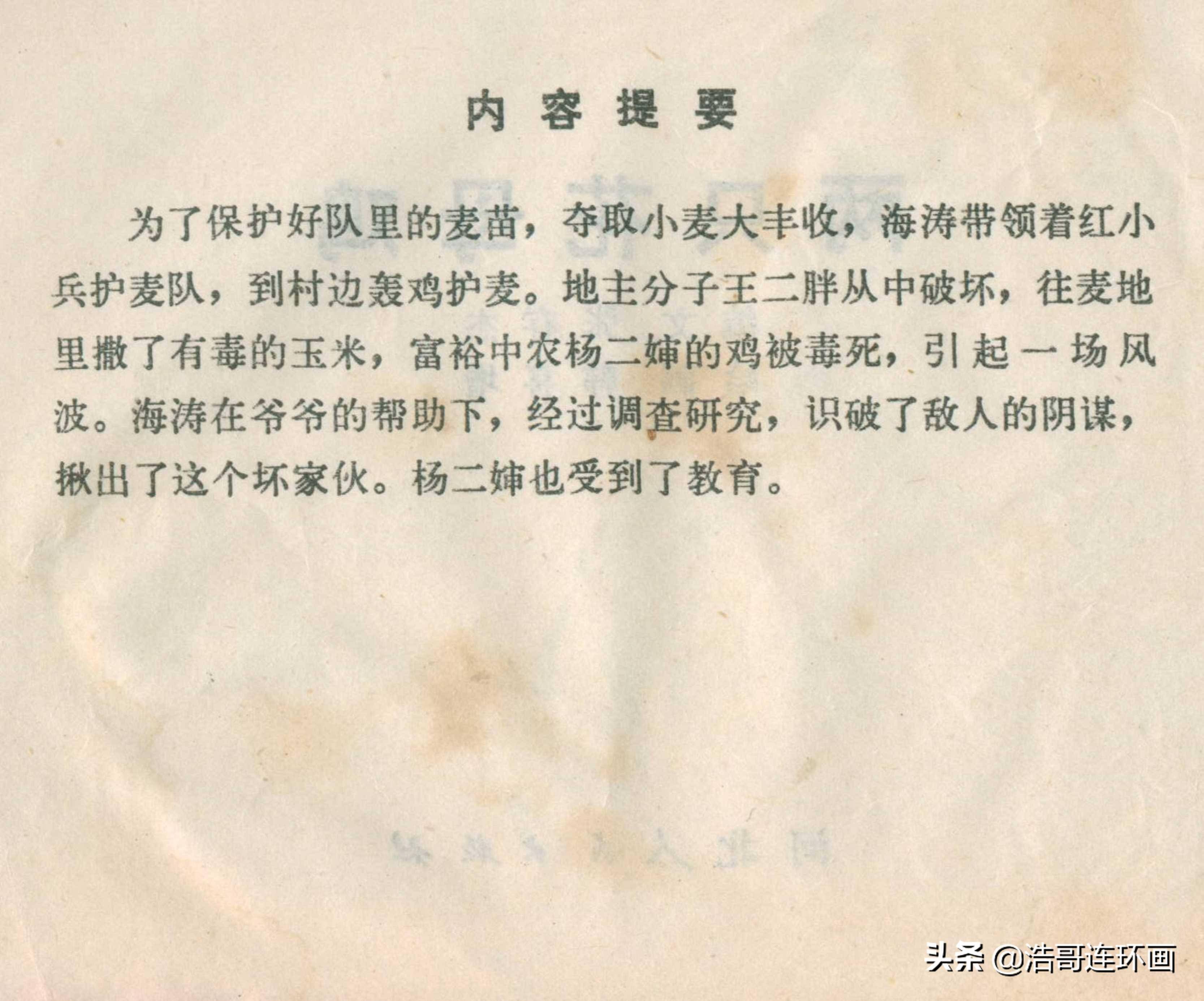 花凤鸡简谱_鸡米花图片(3)