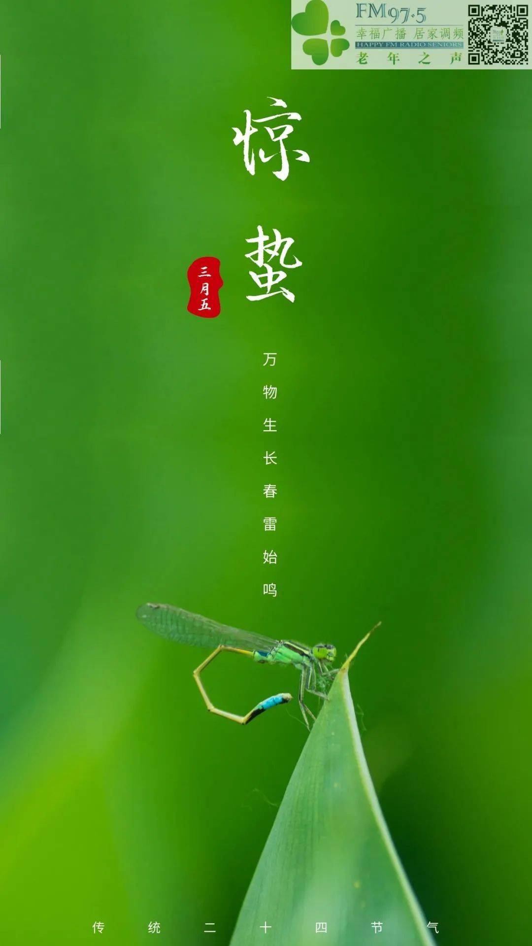 明日惊蛰惊蛰是什么意思呢