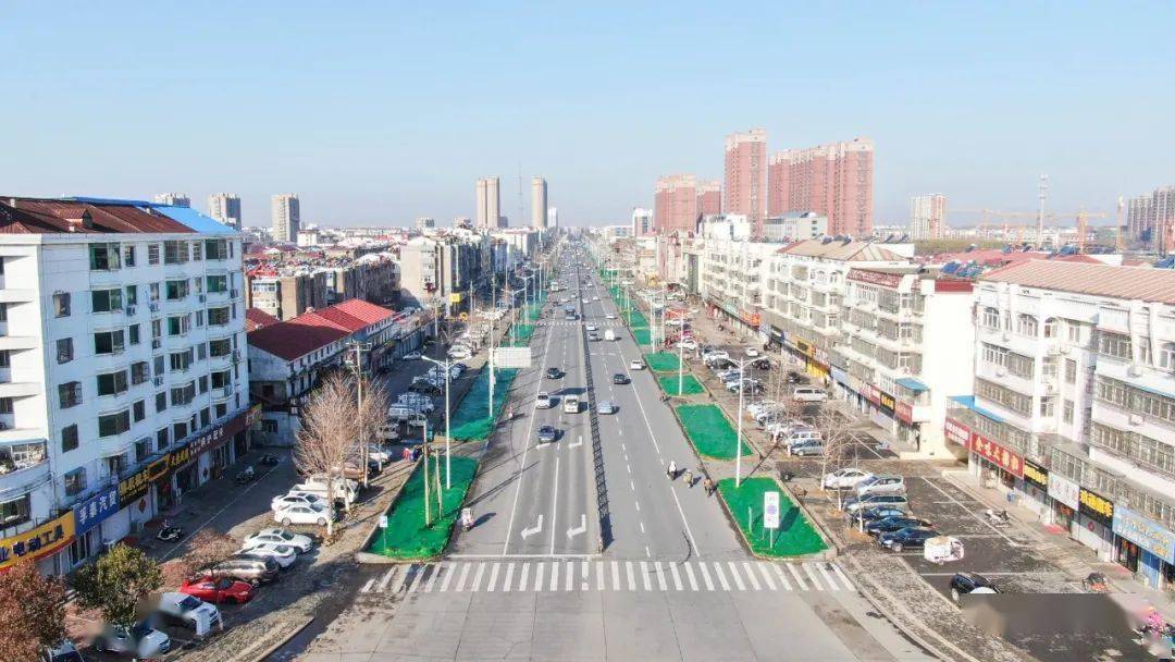 赣榆金海路原有绿植移栽至琴岛天籁,将新增10万m05绿色林地.