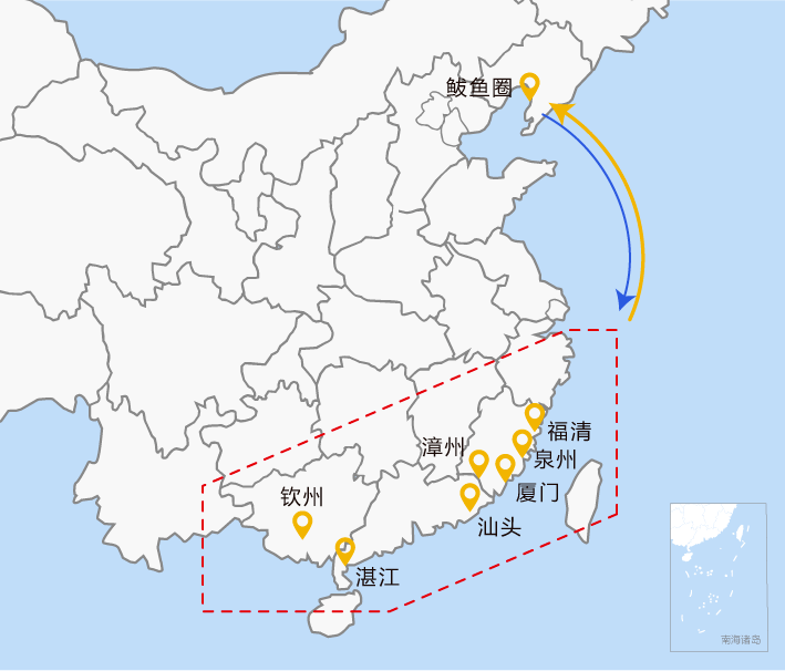 自此,营口(新世纪)集装箱码头已达17条航线,覆