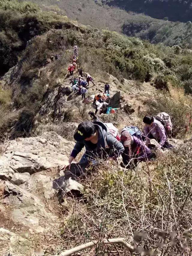 14奉化虎頭山雨施山環線徒步_活動