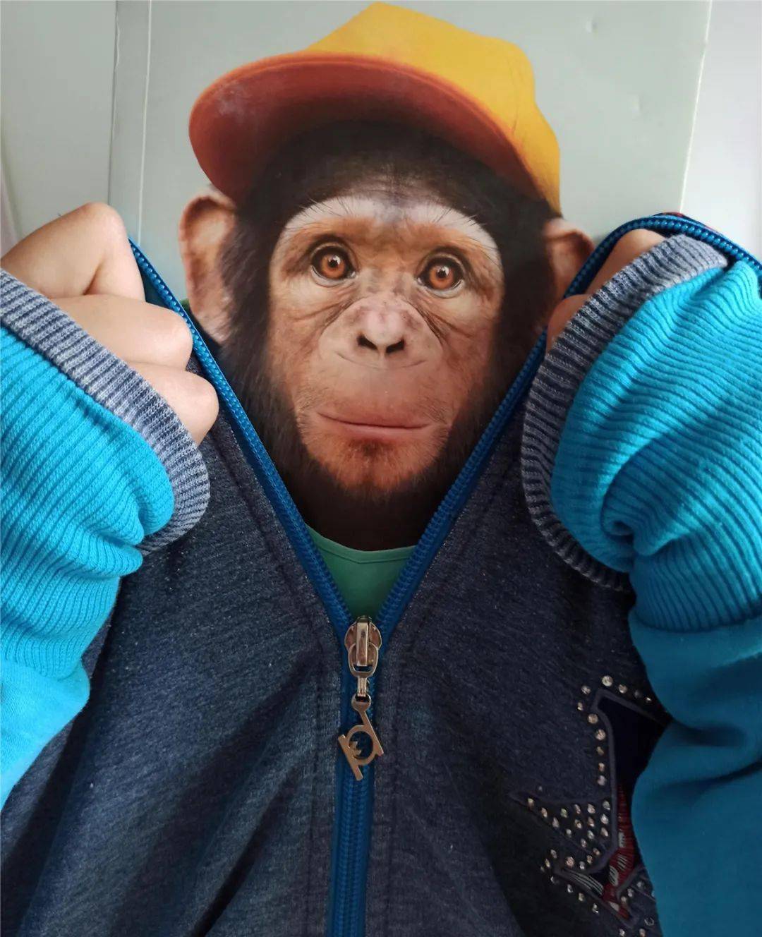 获奖名单公布!最后一期"小太阳百变书脸秀"等你来参加