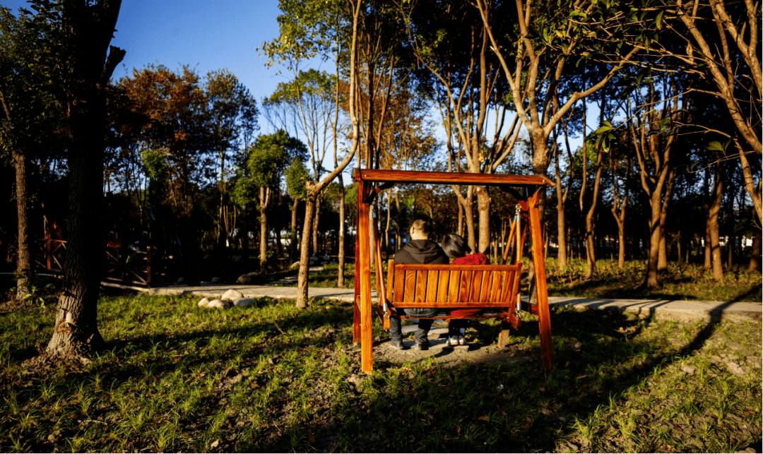 赵巷:处处有景时时宜游,让村民的小日子过成好日子_公园