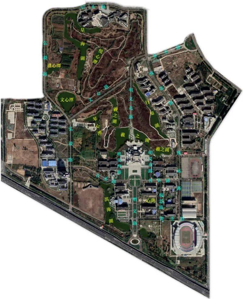 1月份临沂大学针对中央道路绿化公开招标,目前中央道路两侧已完成树木