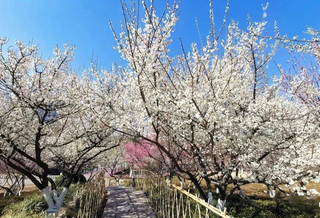 新沂这里值得打卡!