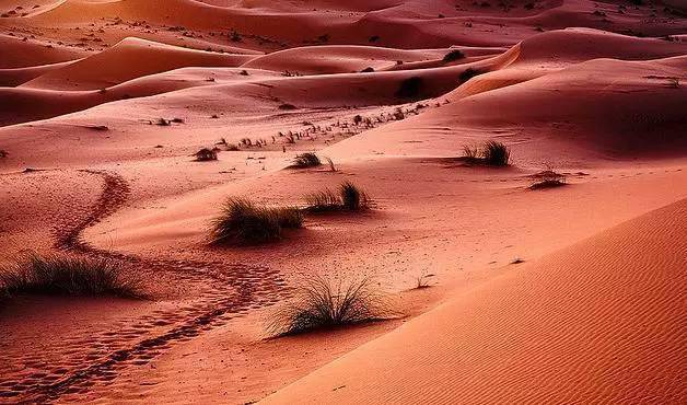 塔里木盆地位置视频 5809d7a0b16b4e3db9519027adc2f38a.jpeg