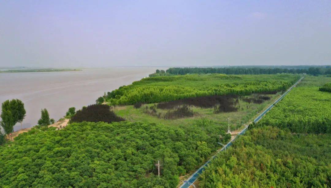 滩地修复湿地保护沿黄生态廊道提升郑州今年大动作增绿