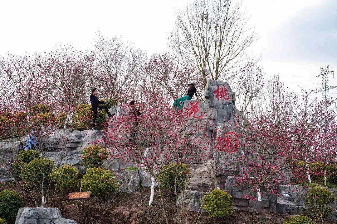 玩转广安桃花开啦广安这里的大片桃林去打卡了吗