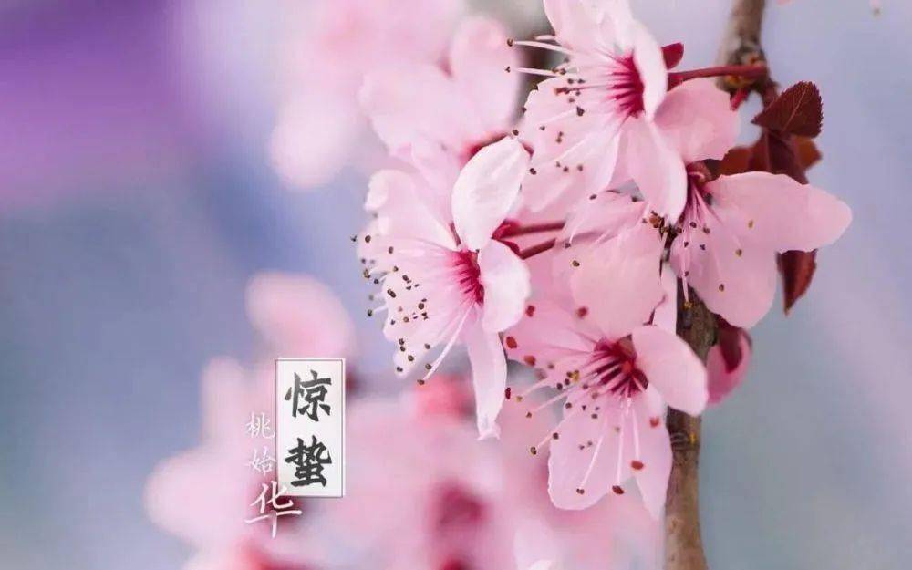 高邮人口2021多少_高邮风景图片(2)