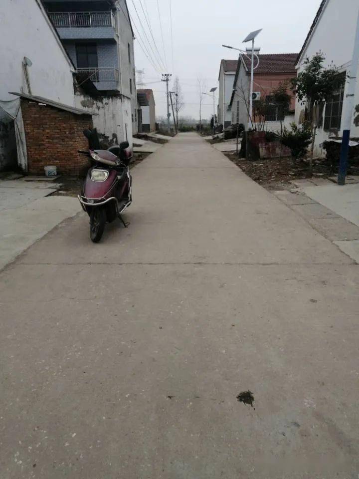 首个村庄清洁日朱湖农场扫翻天