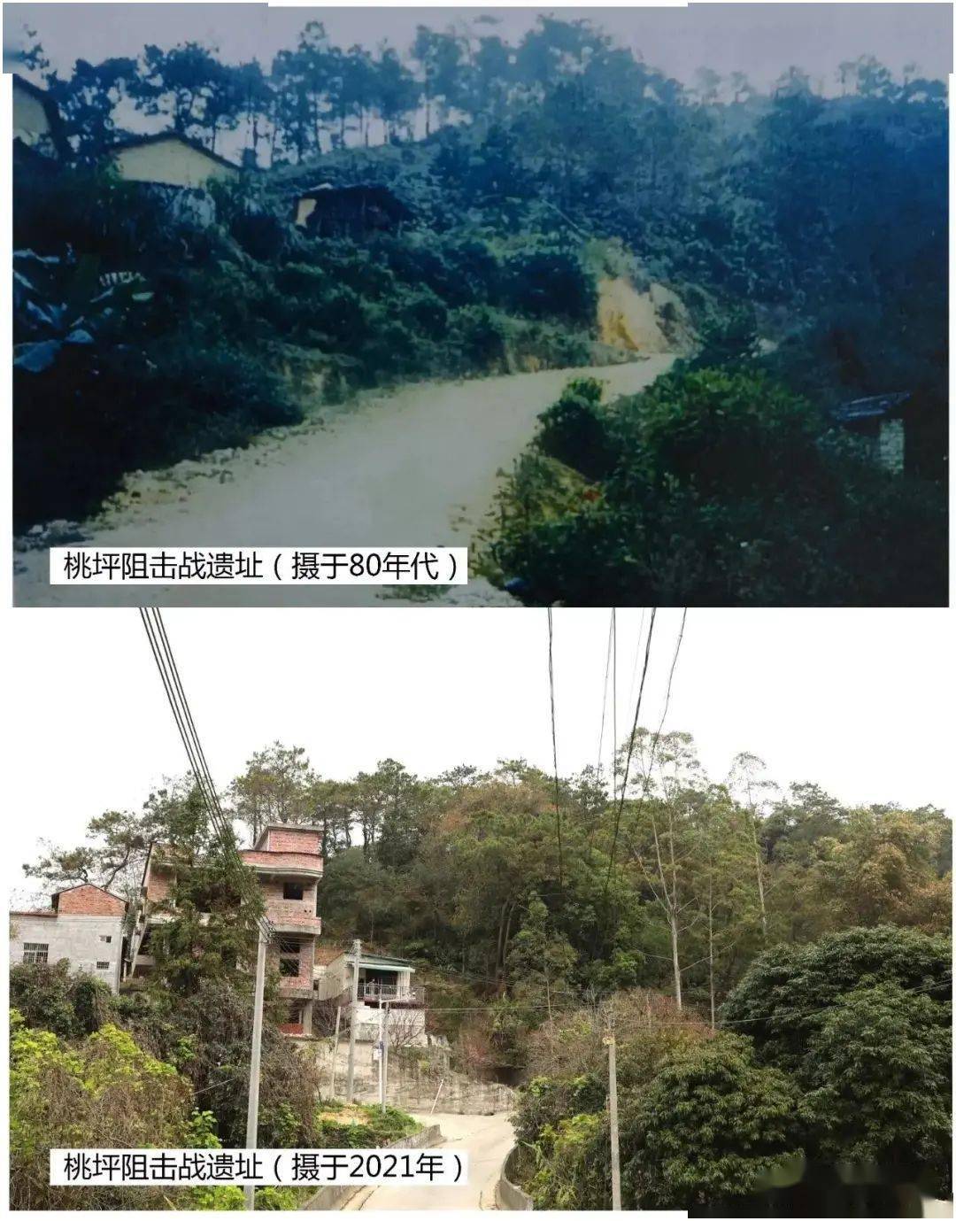 郁南人口有多少_郁南大王山森林公园(2)