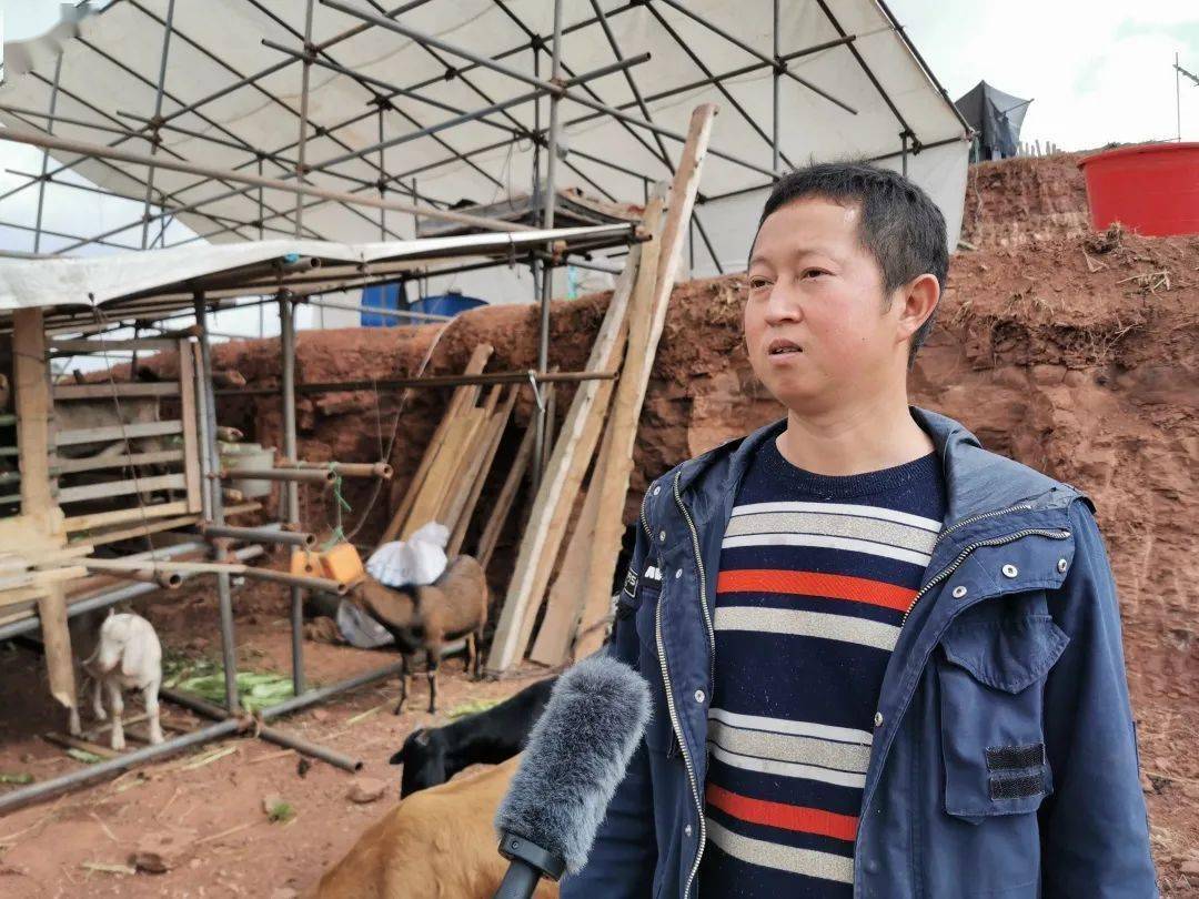 "回来创业,村上第一书记刘华和村两委干部经常来关心我们,来给我们