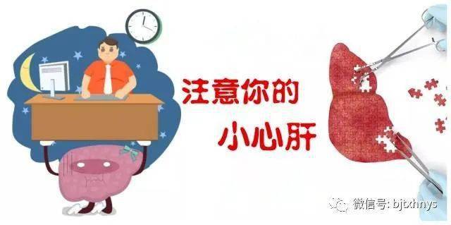 吃什么东西可以补气血养肝 1a21c0666a8f4b14b84fc07237613086.jpeg