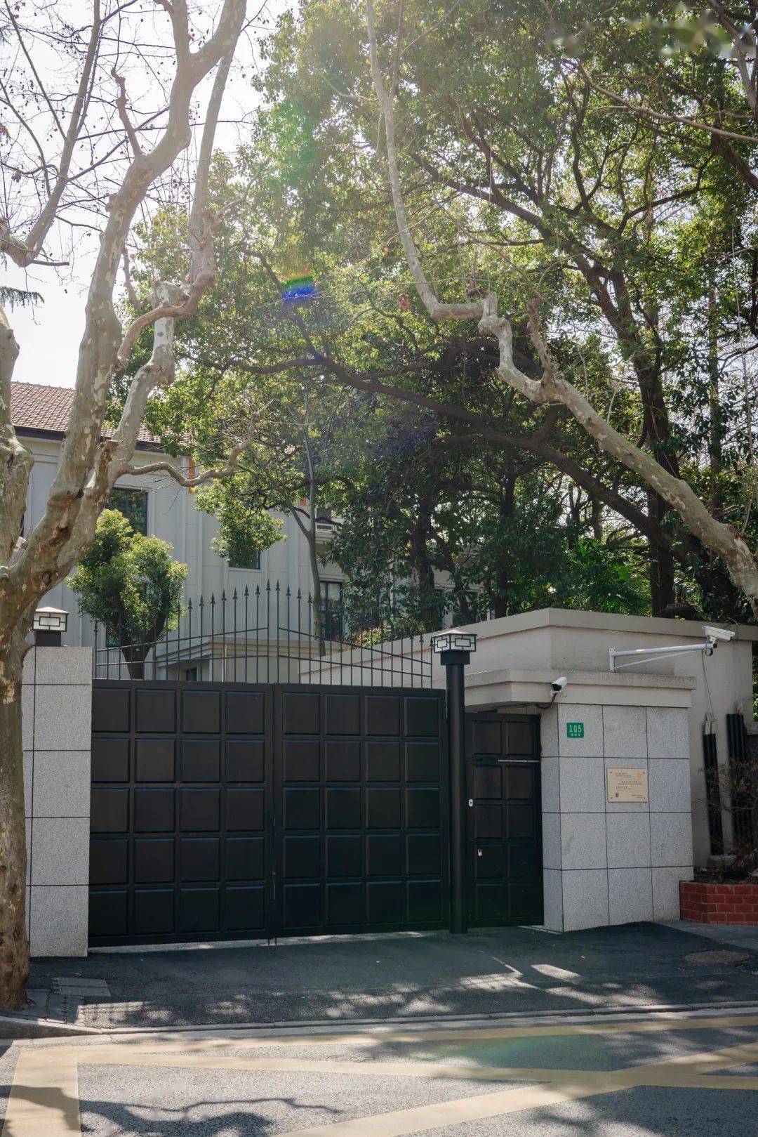 梧桐树下的湖南路藏着说不完的故事