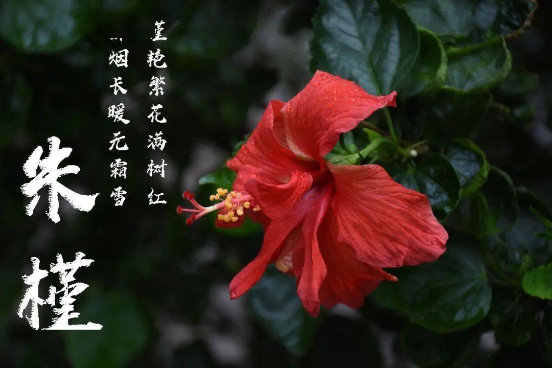 朱瑾——秋瑾书写下众多不朽诗篇一声声 一笔笔女子有才不让男儿独享