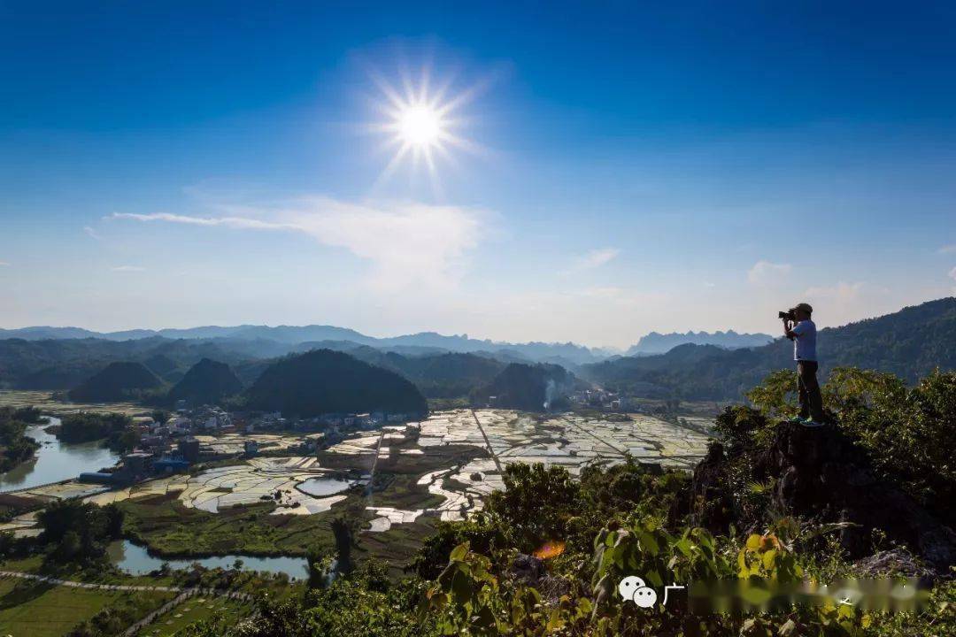花开成海德天老木棉赏花节五大主题活动带你沉浸式打卡