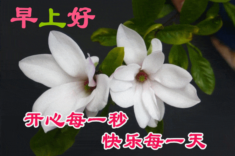 8,清晨有了鸟语花香,总是那么恬静;阳光有了绽放,总是那么温暖;黄昏有