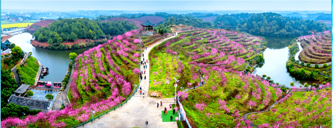 3月2021日泡武功山君澜温泉赏凯光郁金香花海漫步醴陵清水江畔桃林二