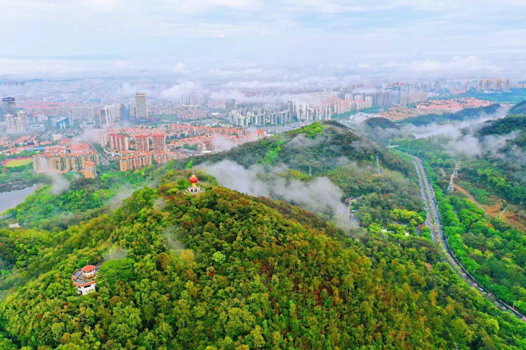 雨后的黄旗山原来这样美